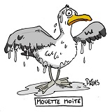 Avatar de l’utilisateur